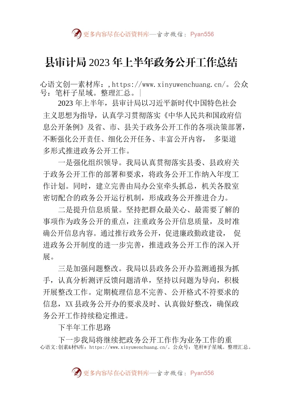 县审计局2023年上半年政务公开工作总结（20230704）.docx_第1页