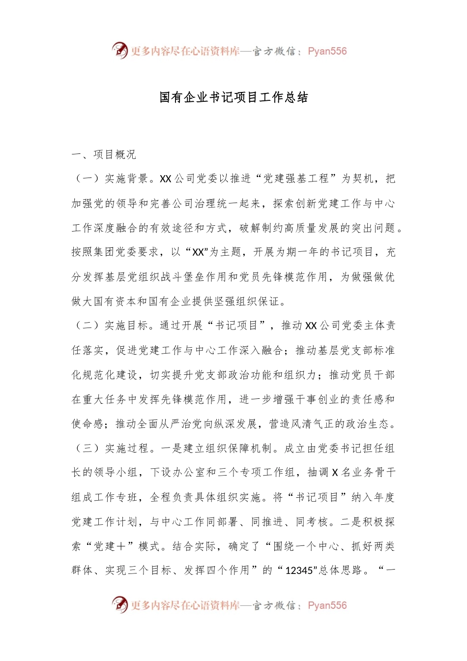 国有企业书记项目工作总结.docx_第1页