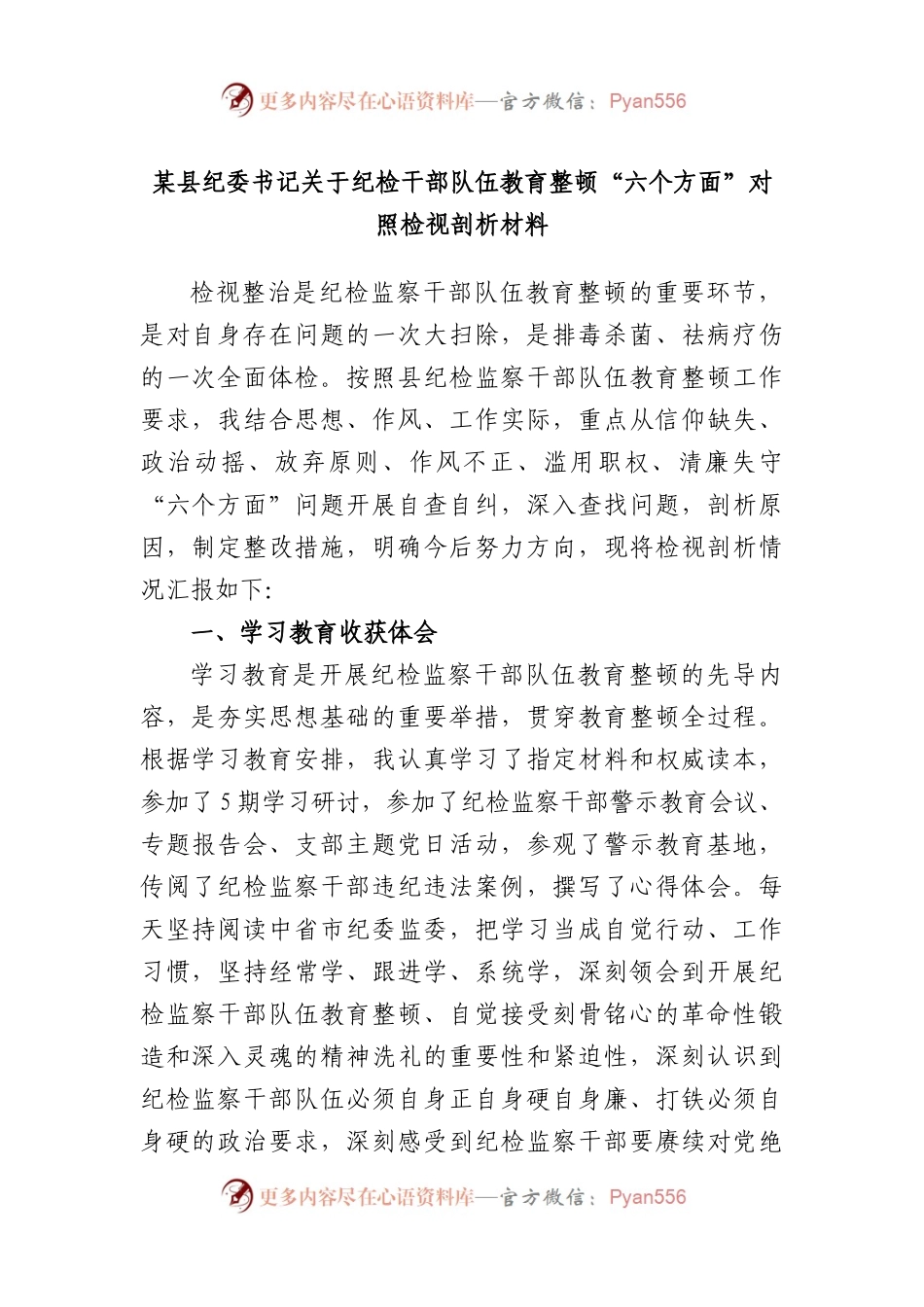 县纪委书记纪检干部队伍教育整顿“六个方面”对照检视剖析材料.docx_第1页