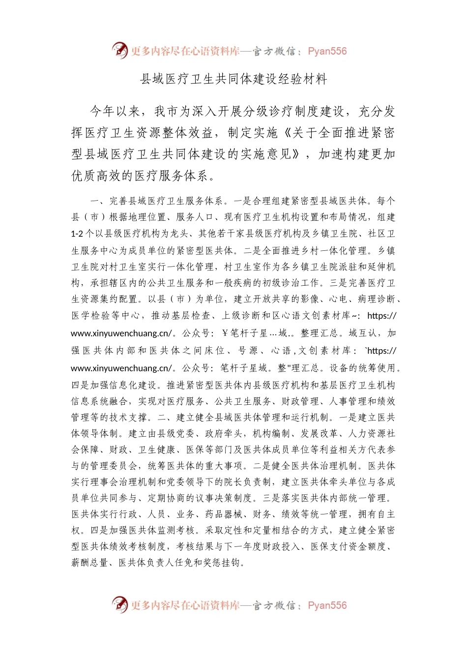 县域医疗卫生共同体建设经验材料.docx_第1页