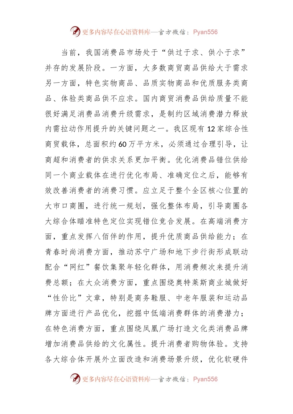 在2024年全市促消费稳增长工作推进会上的交流发言.docx_第2页
