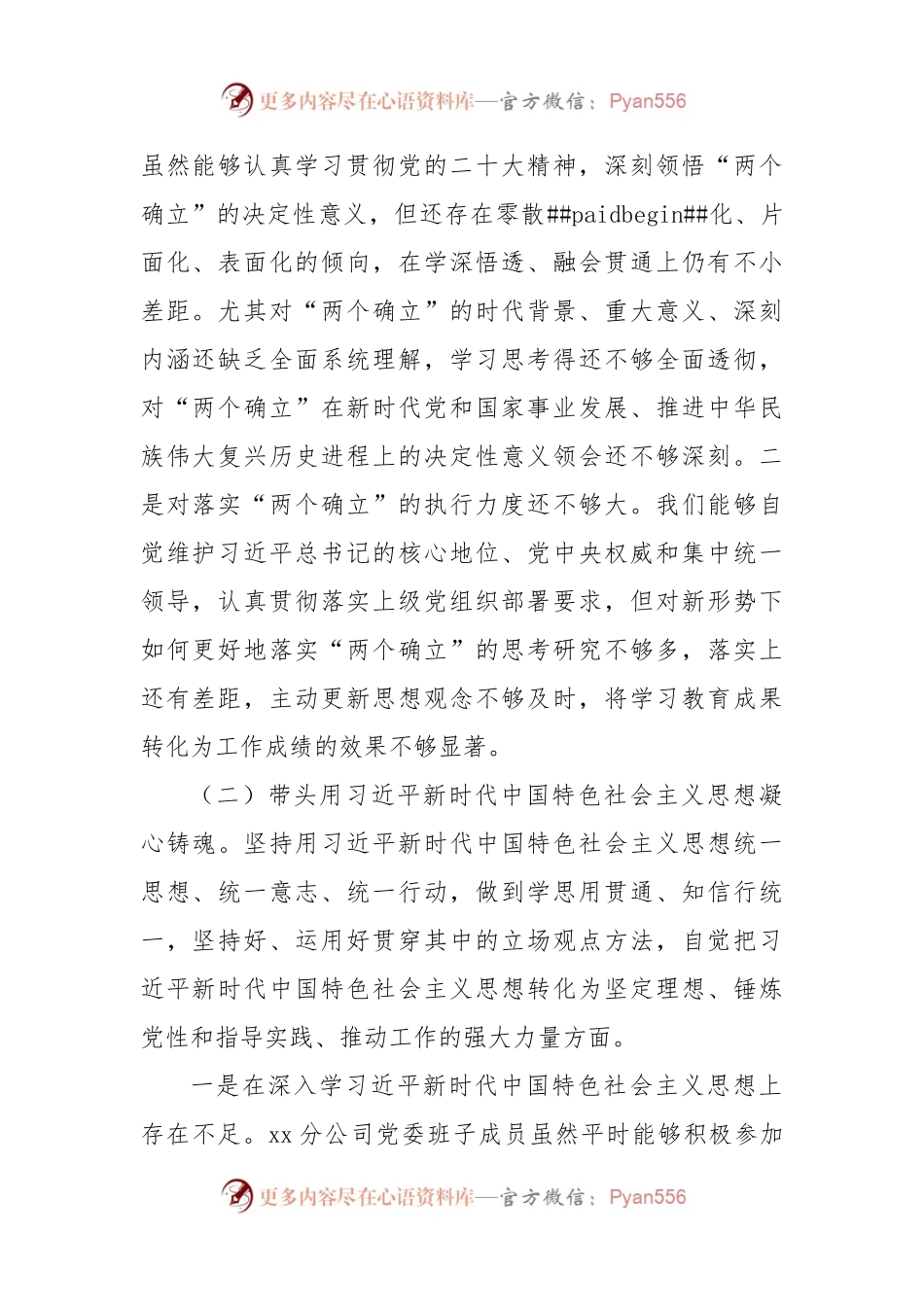 国企党委2022年度民主生活会班子对照检查材料.docx_第2页