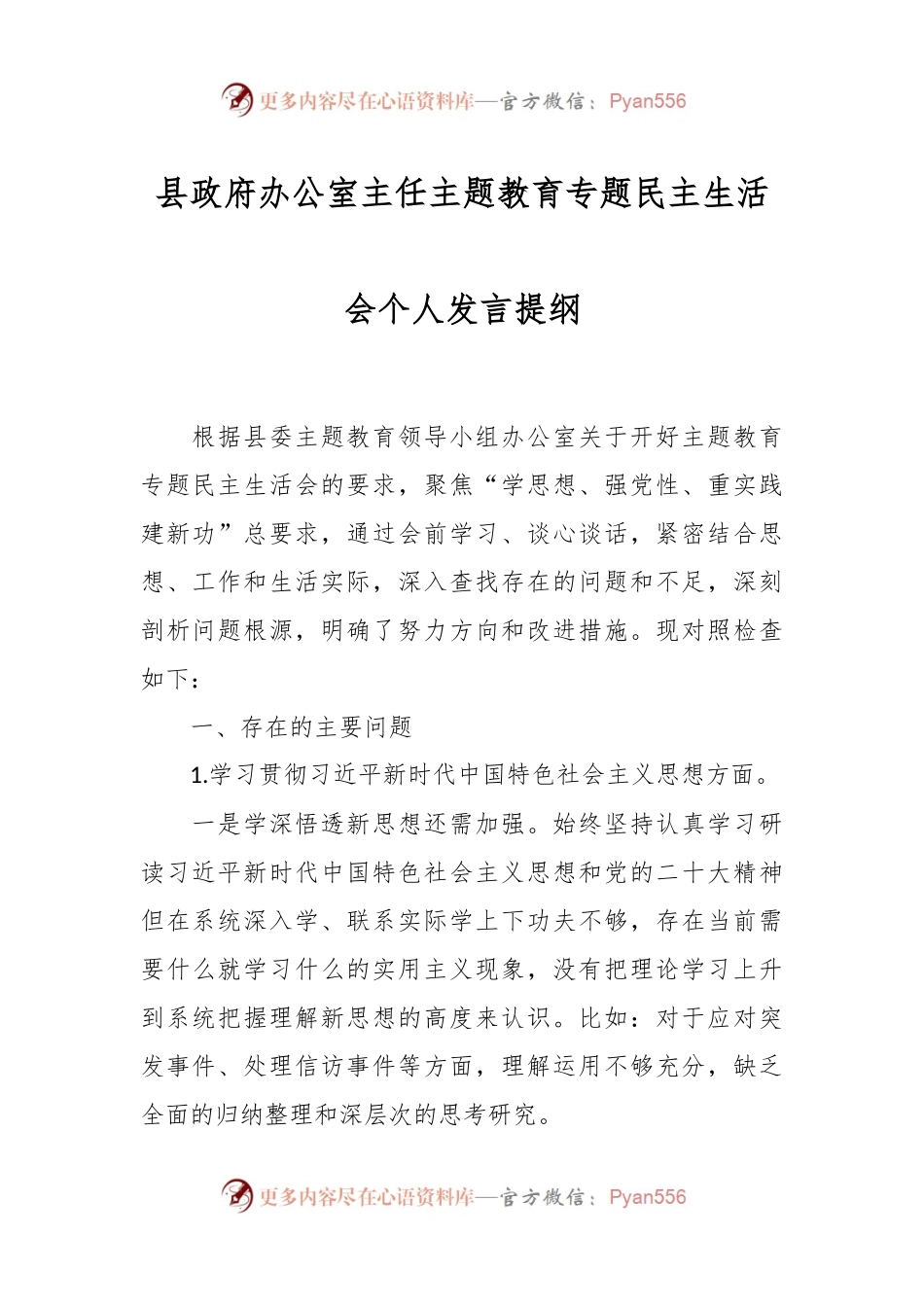县政府办公室主任主题教育专题民主生活会个人发言提纲.docx_第1页