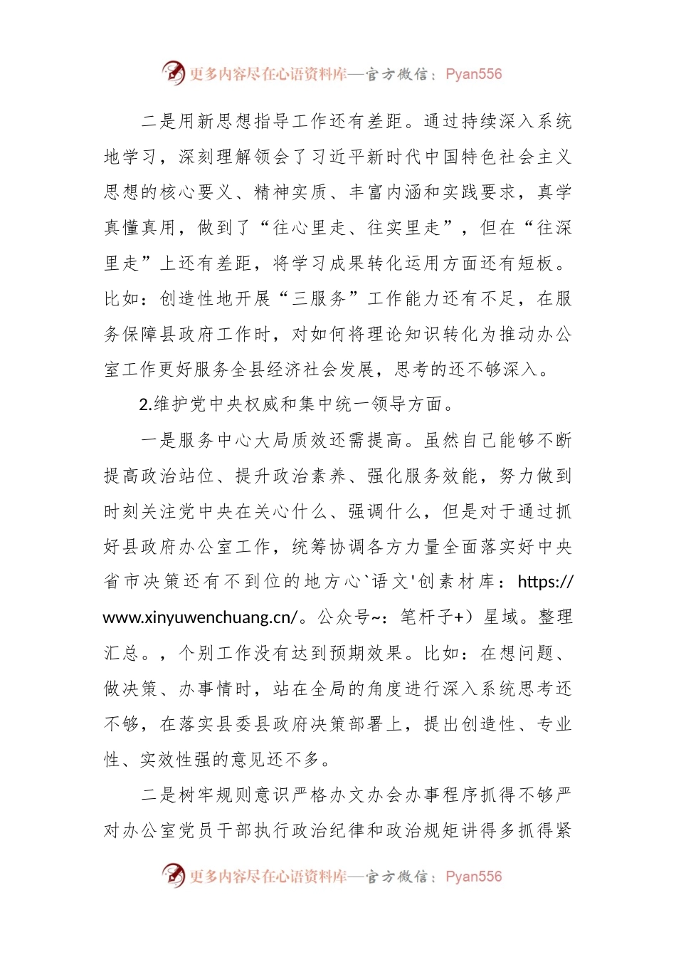 县政府办公室主任主题教育专题民主生活会个人发言提纲.docx_第2页