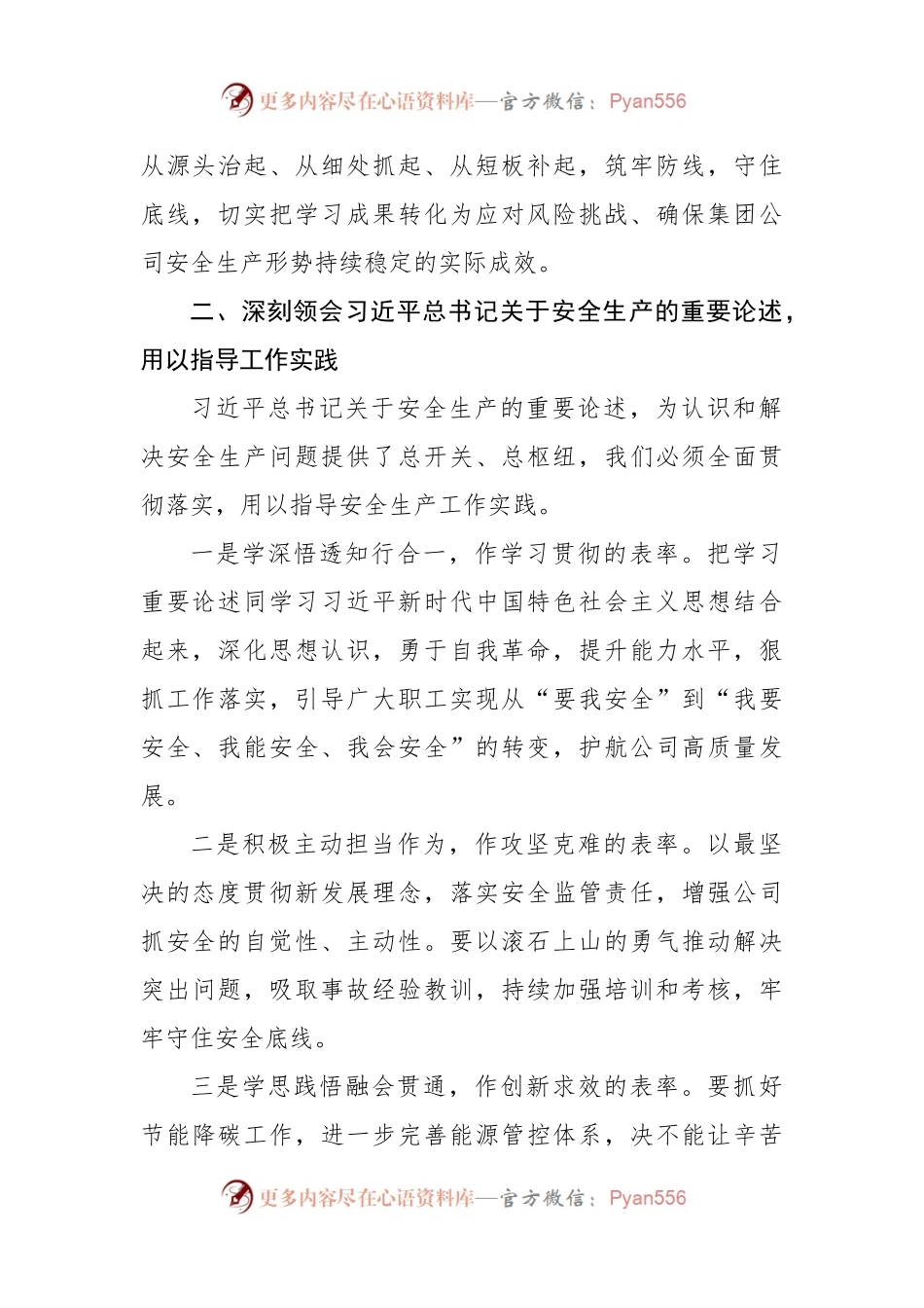 国企主管安全领导学习安全生产重要论述交流研讨发言材料.docx_第2页