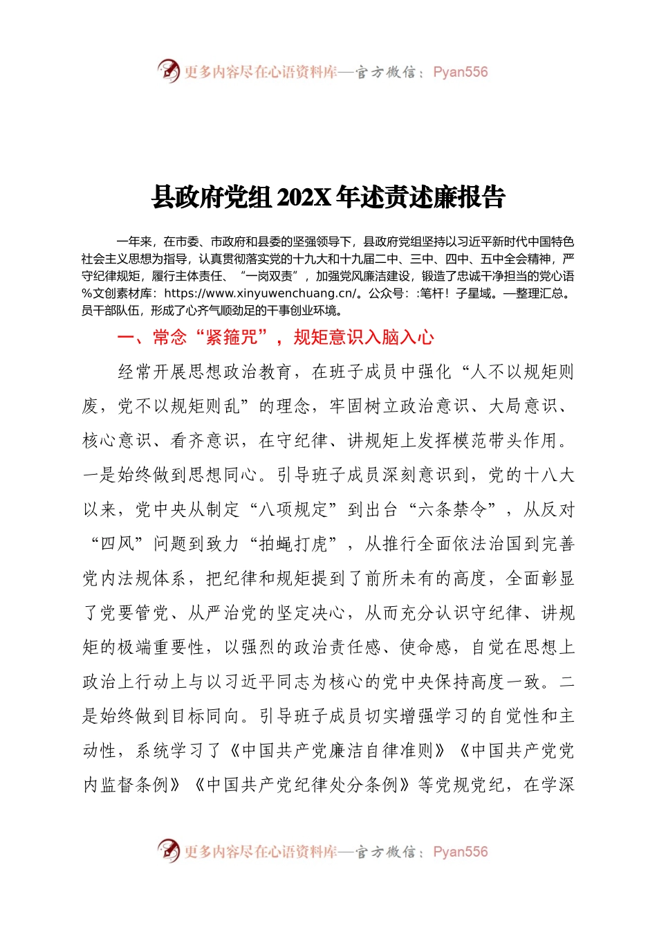 县政府党组202X年述责述廉报告.docx_第1页