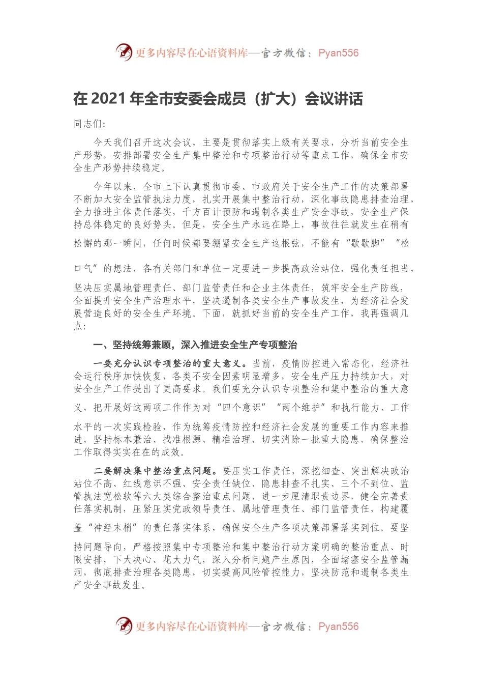 在2021年全市安委会成员（扩大）会议讲话.docx_第1页