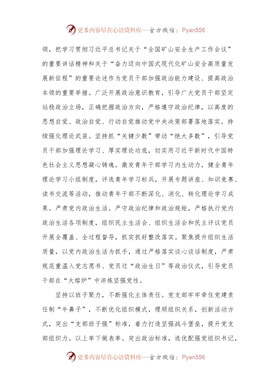 在2024年国有企业“四强”党支部建设现场会上的汇报发言.docx_第2页