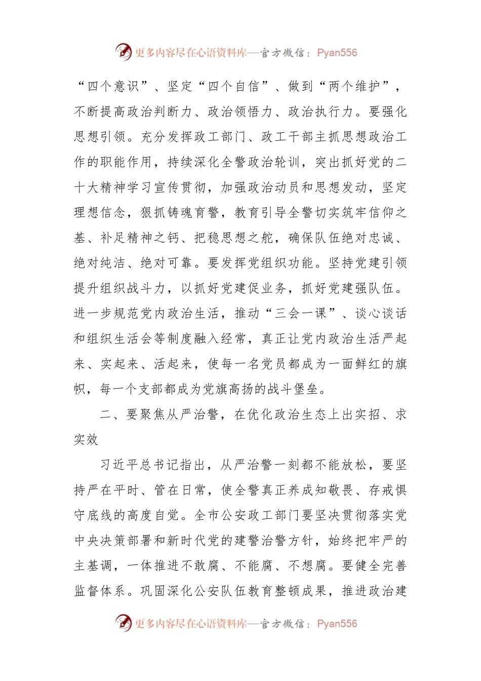 在2023年全市公安政治工作会上的讲话.docx_第2页