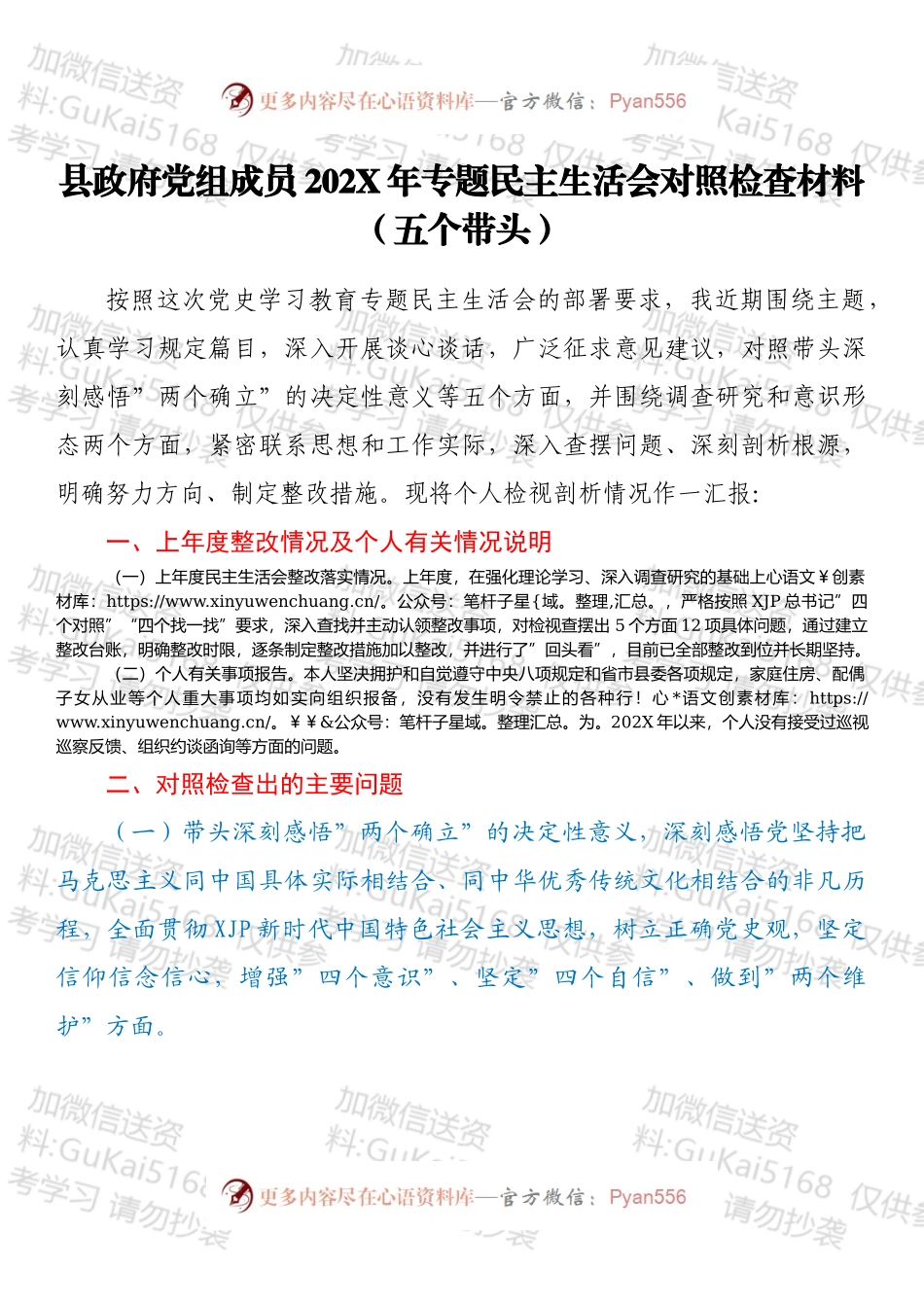 县政府党组成员202X年专题民主生活会对照检查材料（五个带头）.docx_第1页