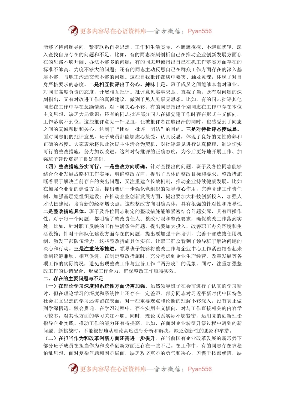 在2024年民主生活会上的点评发言.docx_第2页