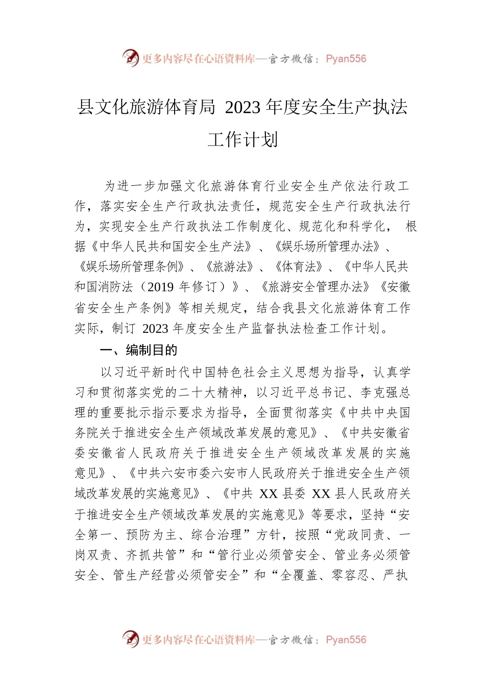 县文化旅游体育局2023年度安全生产执法工作计划.docx_第1页