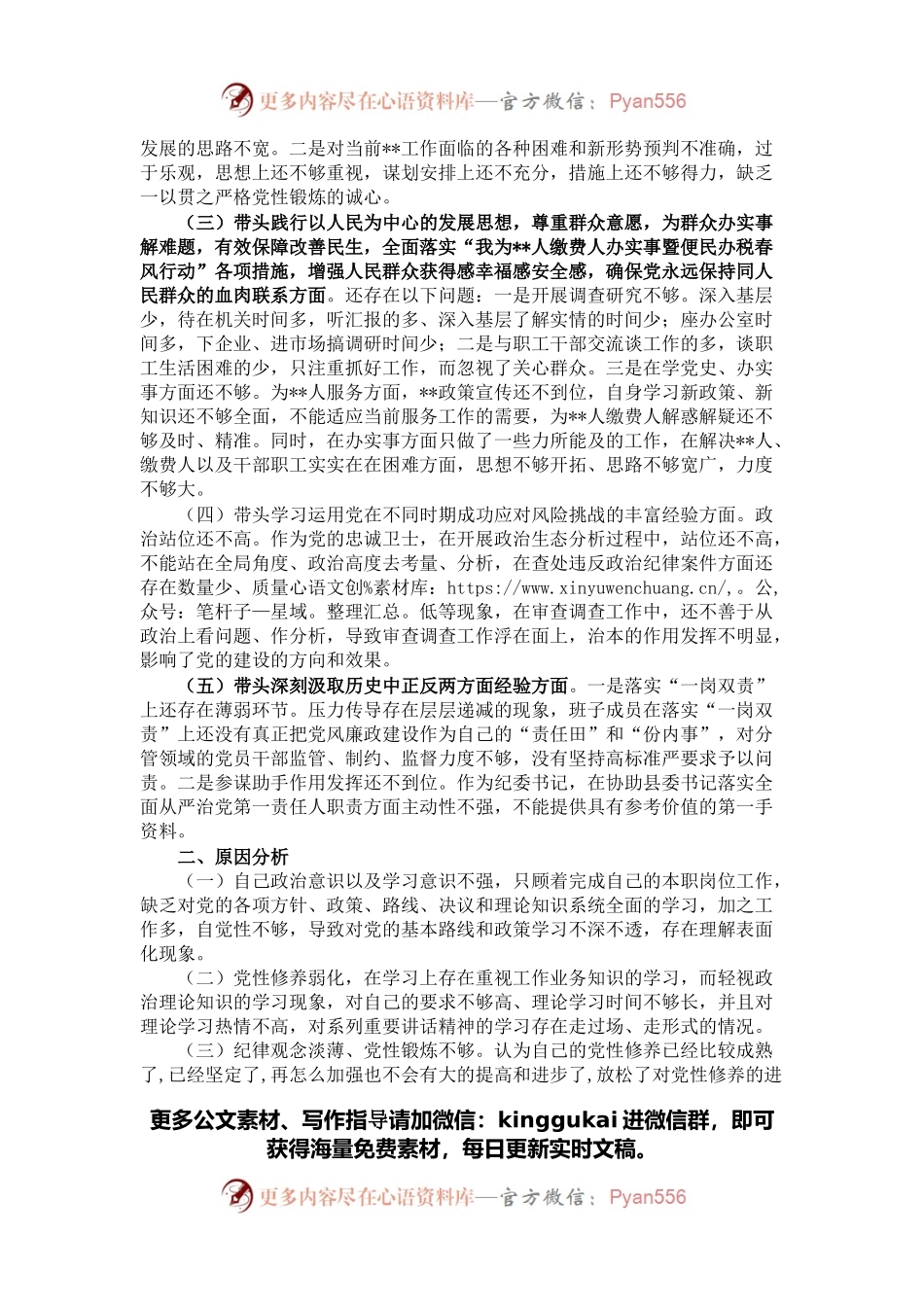 县政府党组成员党史学习教育专题民主生活会“五个带头”对照检查材料.docx_第2页