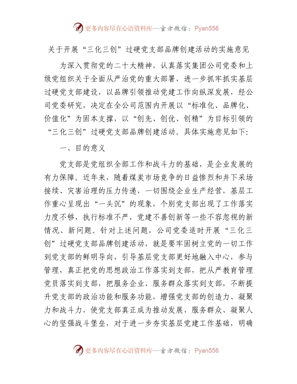国企“三化三创”过硬党支部品牌创建活动实施意见5300字.docx_第1页
