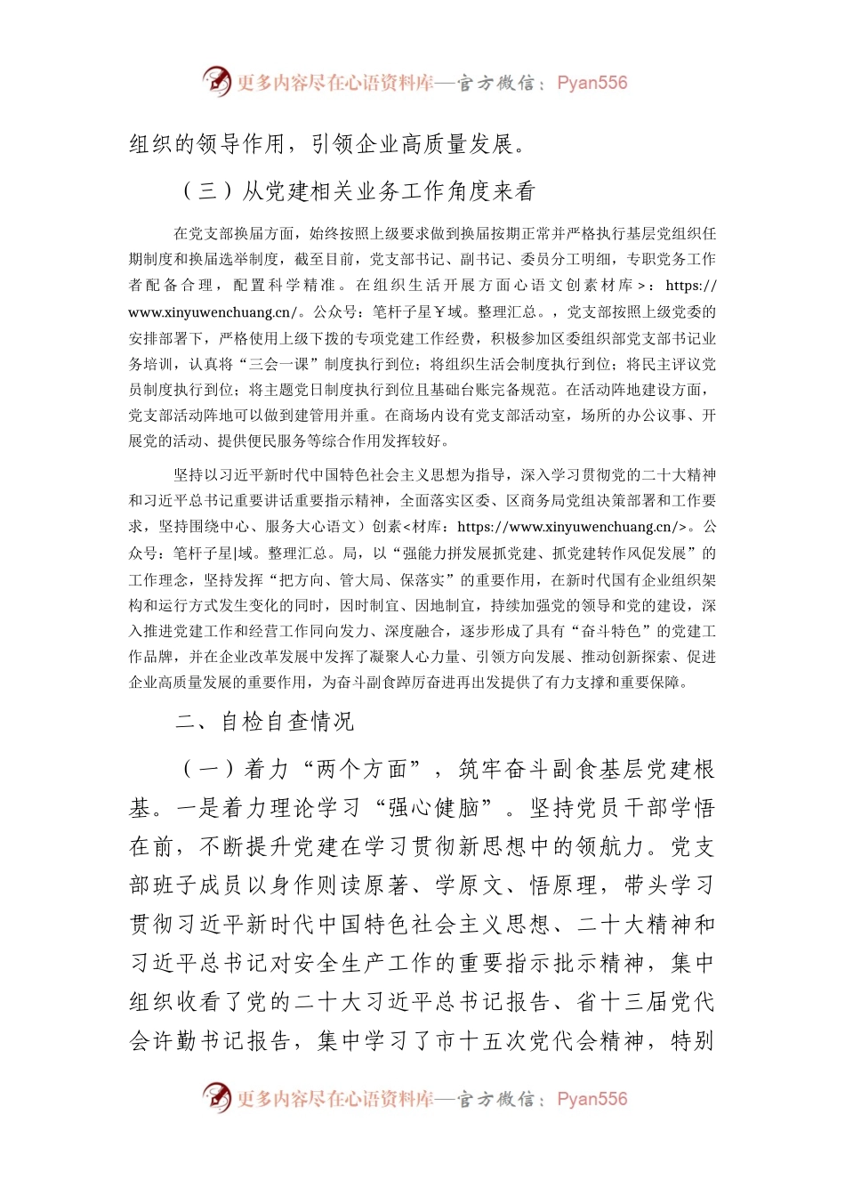 国企党支部标准化规范化建设工作情况总结报告（4500字）.docx_第2页