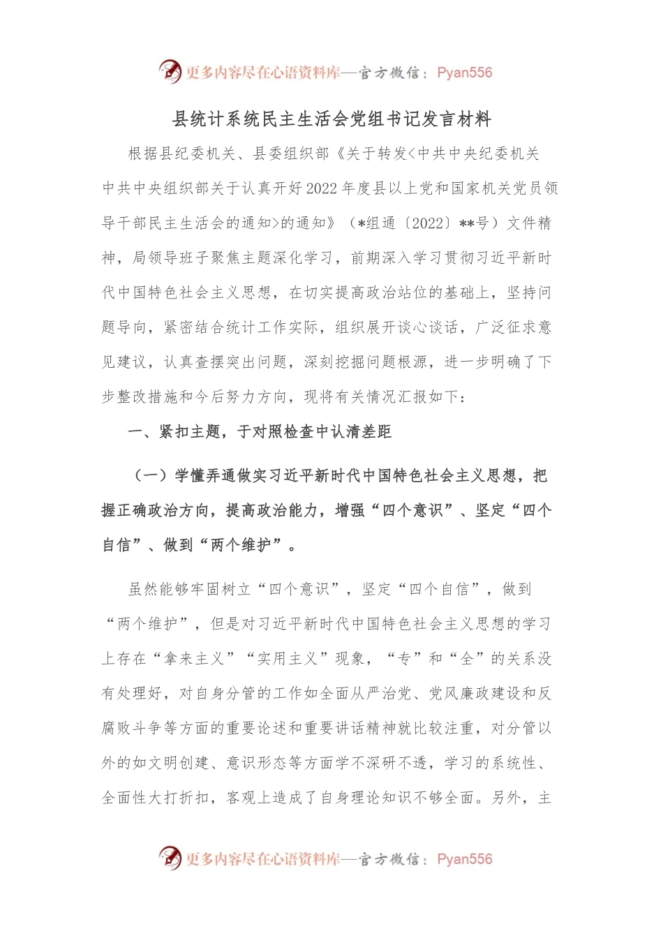 县统计系统民主生活会党组书记发言材料.docx_第1页