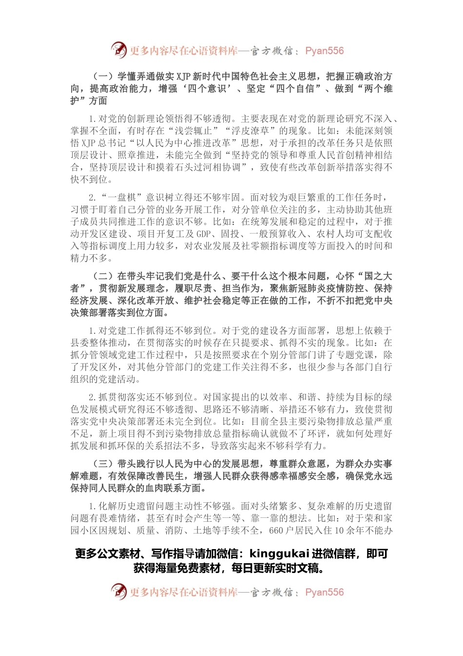 县政府领导班子成员党史学习教育民主生活会对照检查材料.docx_第2页