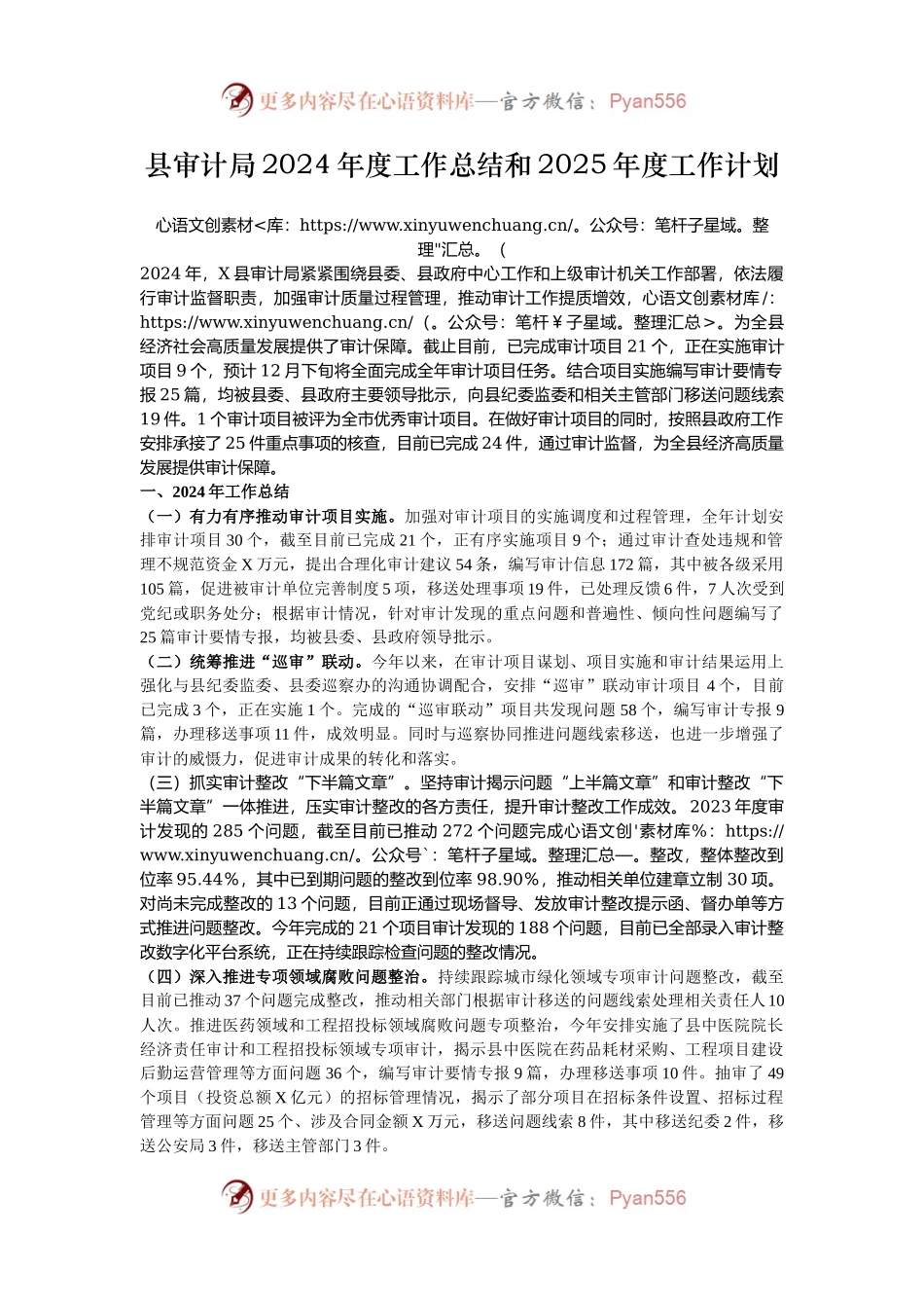 县审计局2024年度工作总结和2025年度工作计划.docx_第1页