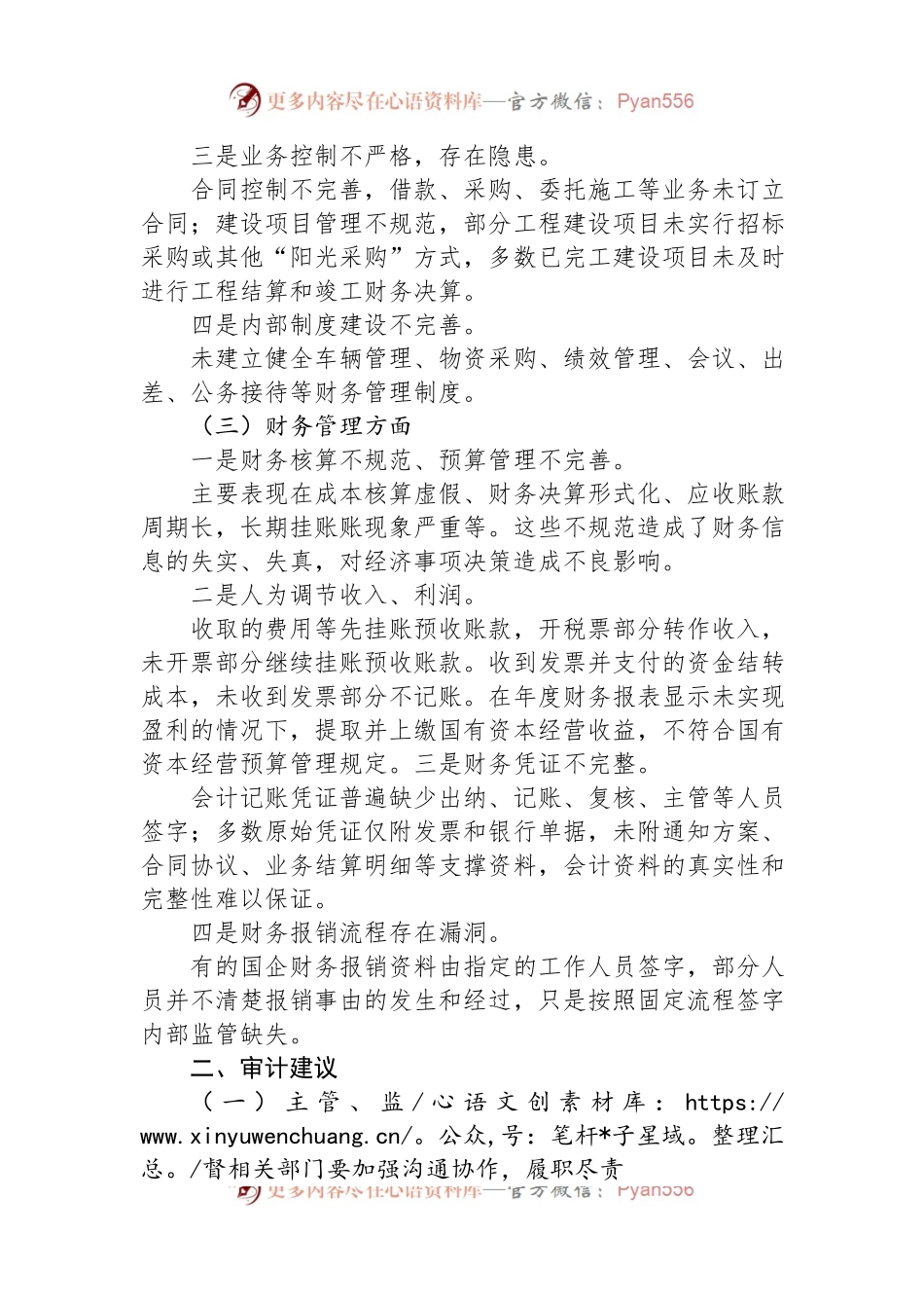 国有企业审计：发现共性问题清单、审计建议.docx_第2页