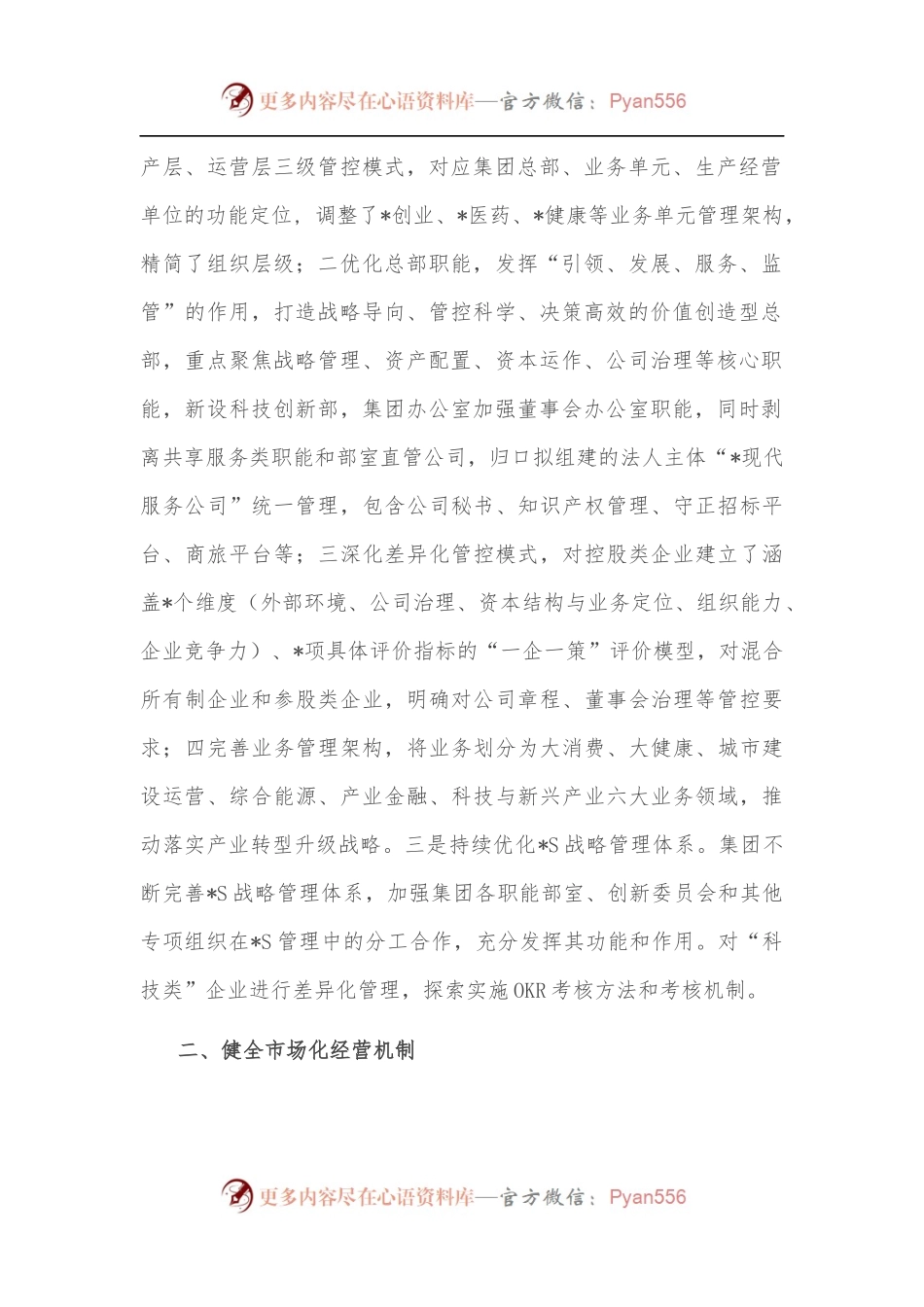 发挥多元化管控优势 构建产业发展新格局——公司交流发言材料.docx_第2页