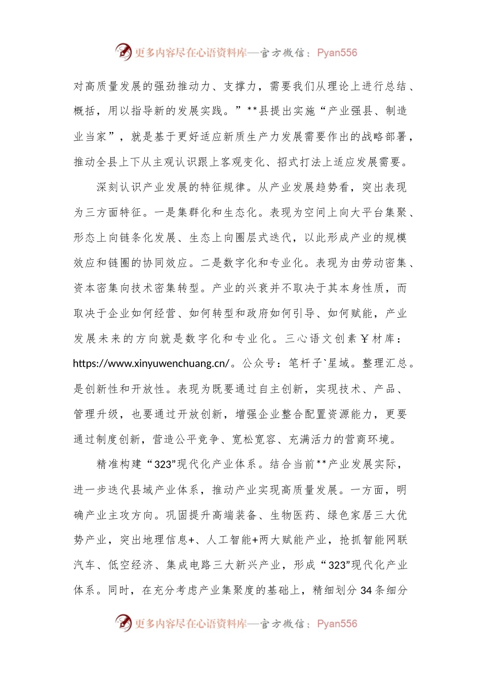 在2024年全市“产业强市”暨新质生产力发展大会上的汇报发言.docx_第2页