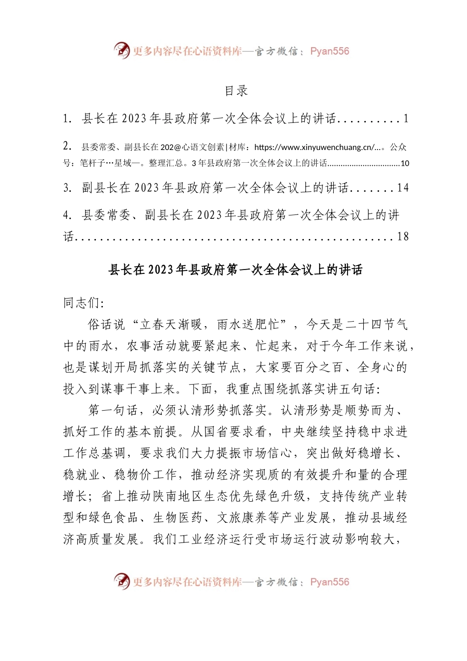 在2023年县政府第一次全体会议上的讲话汇编4篇.docx_第1页
