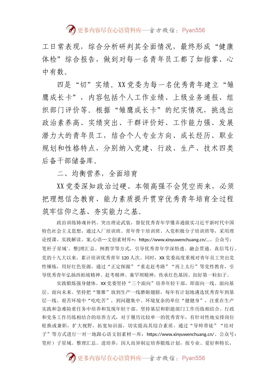 国企党建经验交流：“选育用管”全链条发力为年轻干部打造成长矩阵.docx_第2页