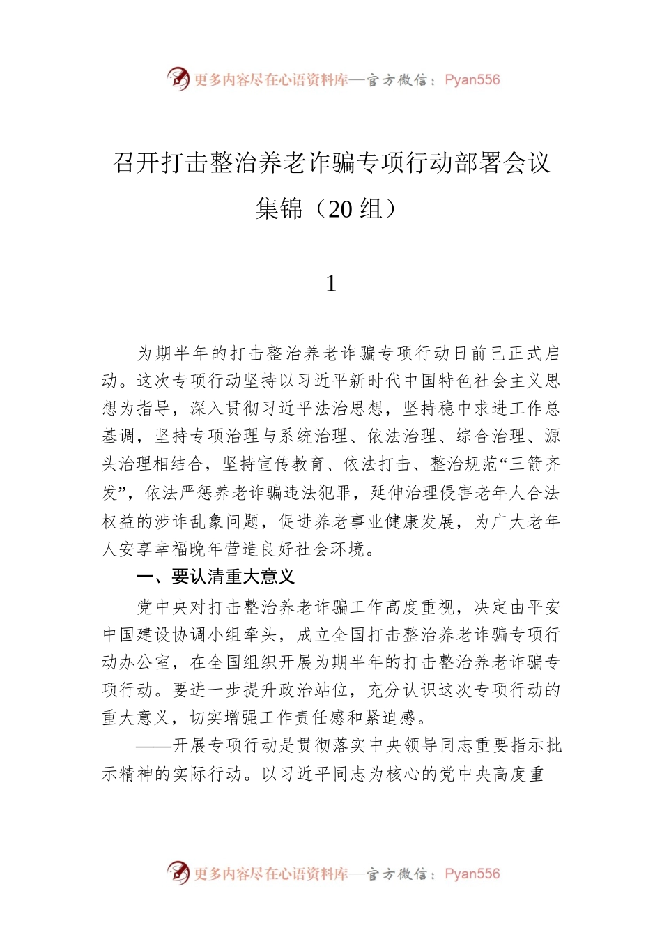 召开打击整治养老诈骗专项行动部署会议集锦（20组）.docx_第1页