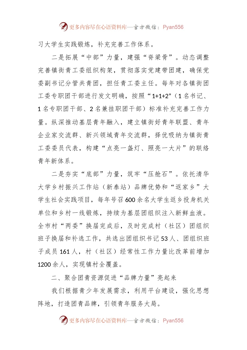 团市委书记在团建工作会议上的经验交流发言.docx_第2页