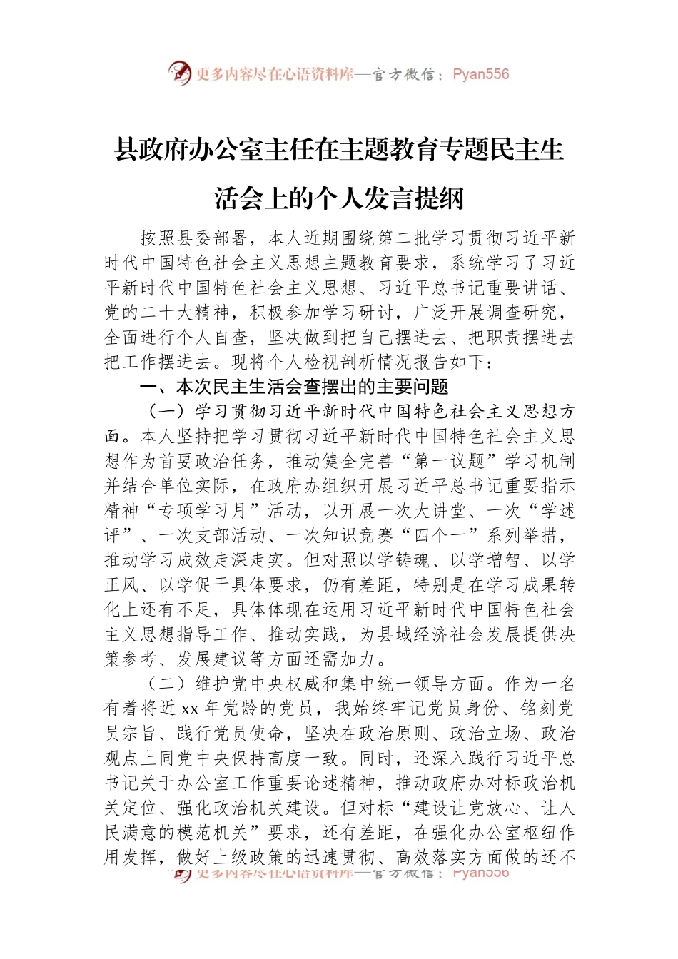 县政府办公室主任在主题教育专题民主生活会上的个人发言稿提纲.docx_第1页