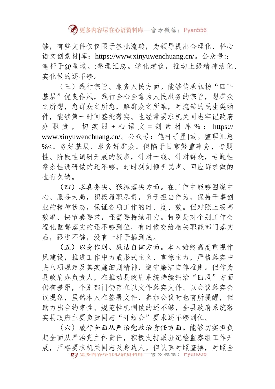 县政府办公室主任在主题教育专题民主生活会上的个人发言稿提纲.docx_第2页