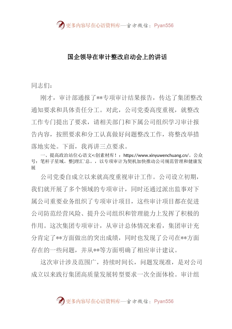 国企领导在审计整改启动会上的讲话.docx_第1页