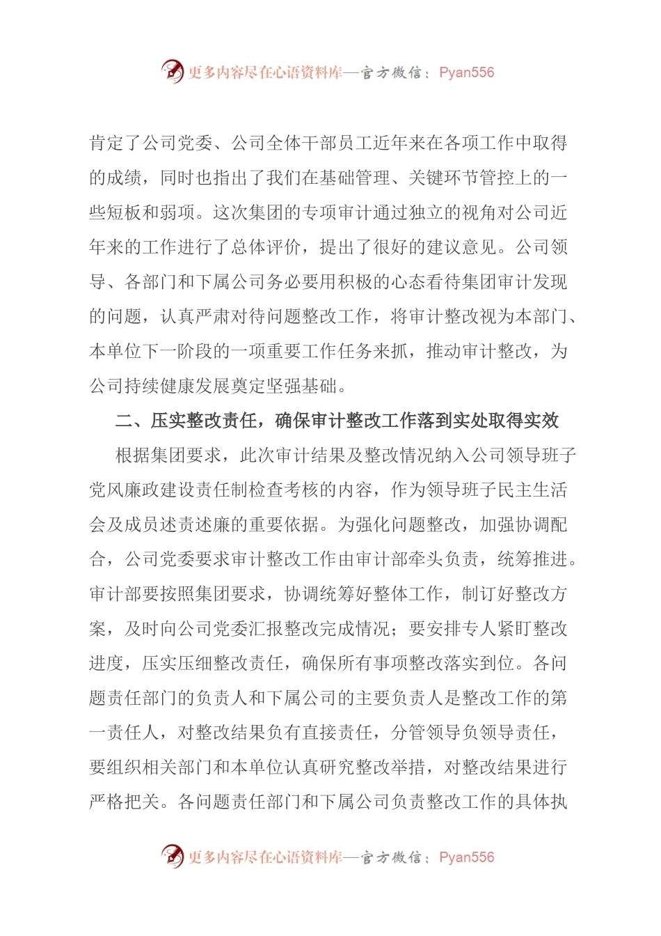 国企领导在审计整改启动会上的讲话.docx_第2页