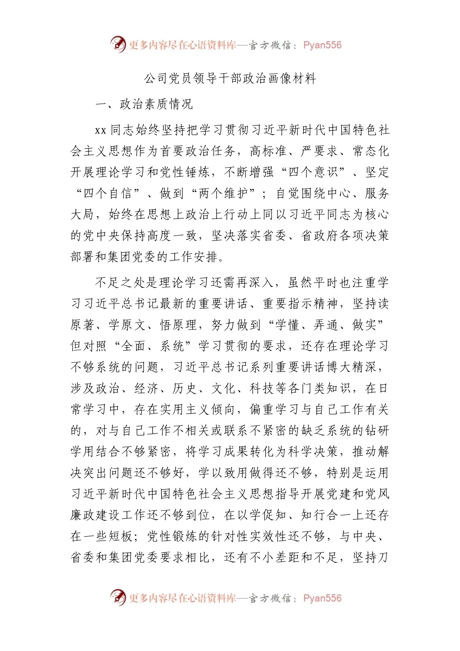 国企党员领导干部政治画像3100字.docx_第1页