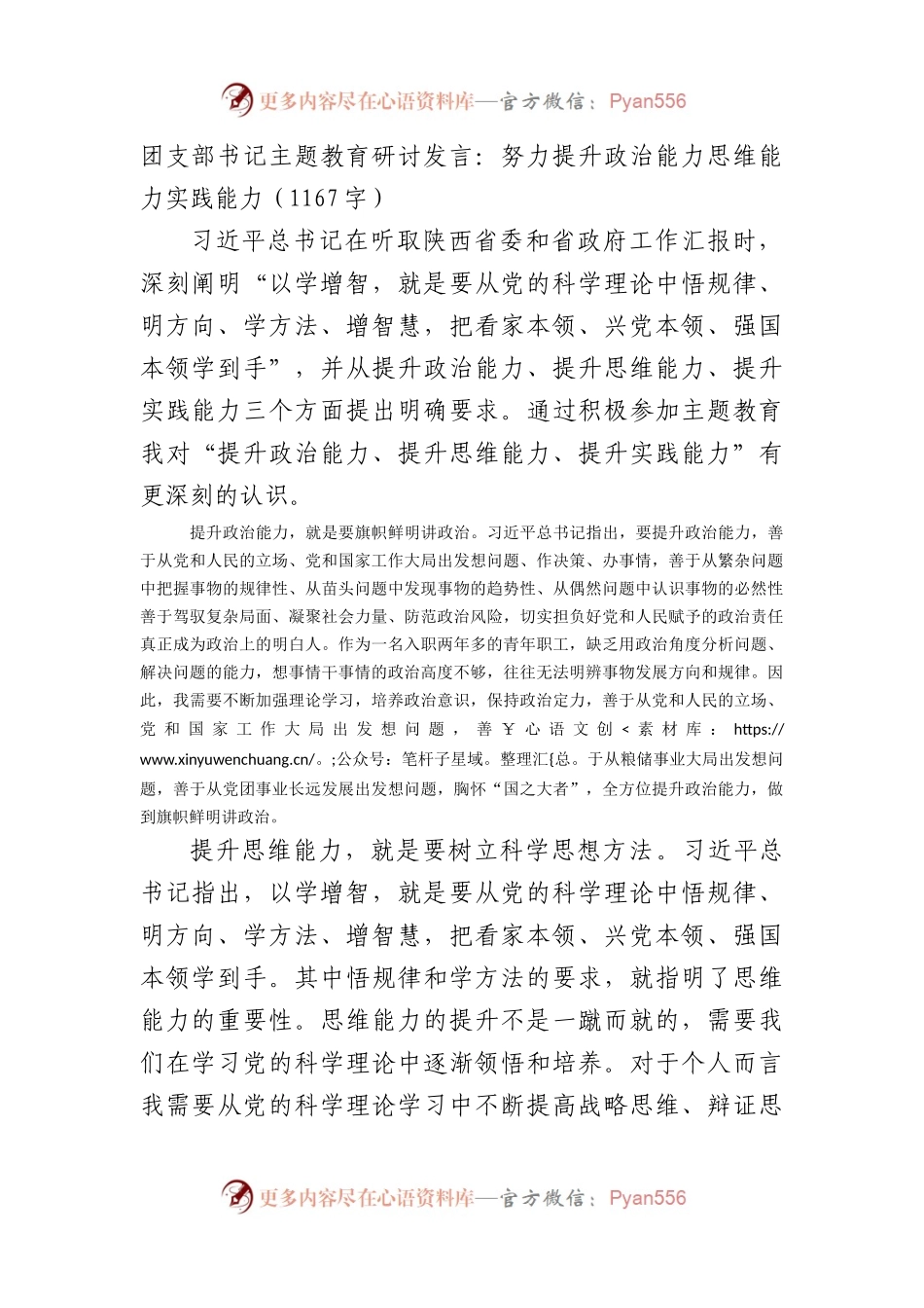 团支部书记主题教育研讨发言：努力提升政治能力思维能力实践能力.docx_第1页