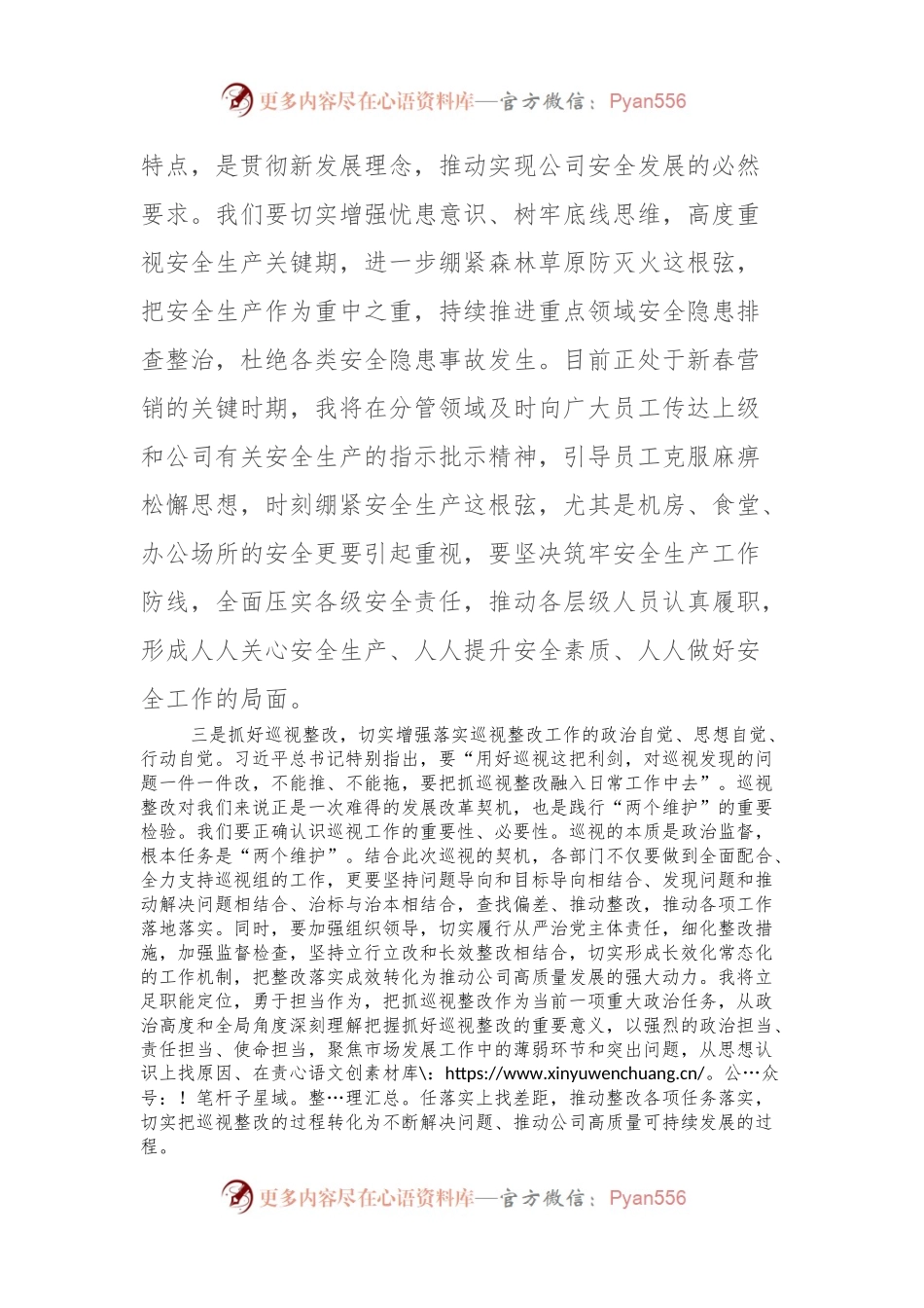 国企党委会学习研讨材料（关于安全生产、巡视整改）.docx_第2页