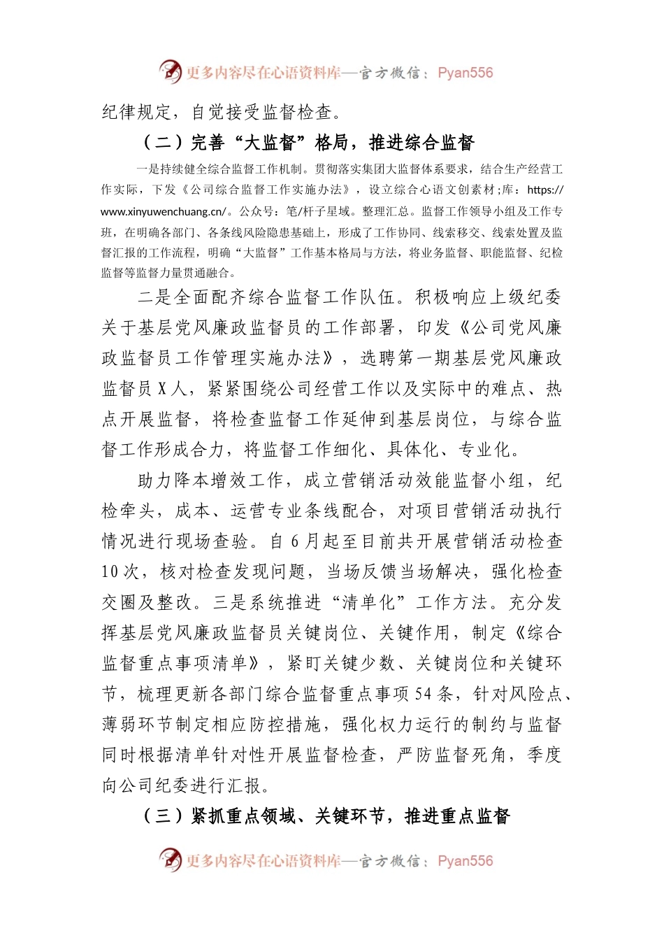 国企党风廉政建设工作报告.docx_第2页