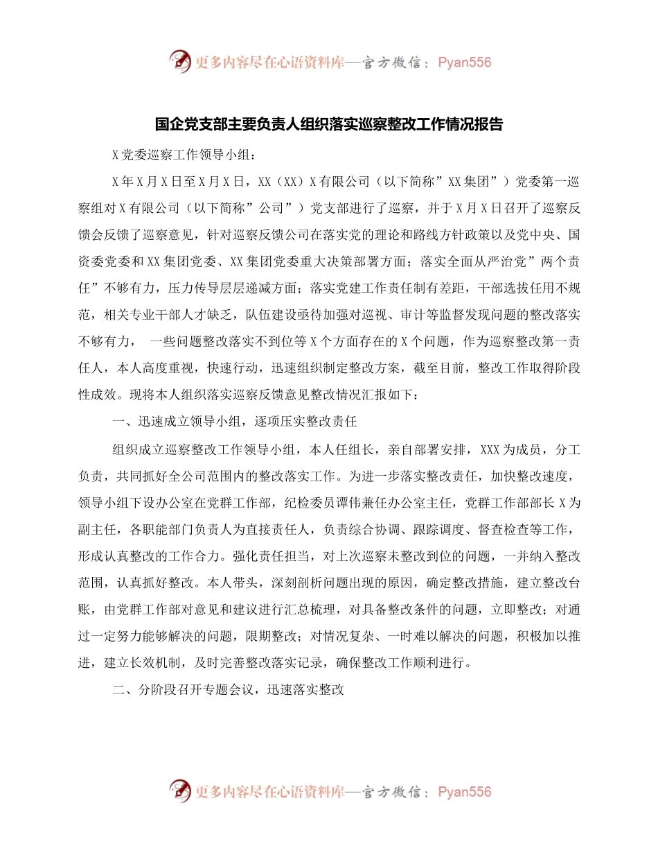 国企党支部主要负责人组织落实巡察整改工作情况报告.docx_第1页