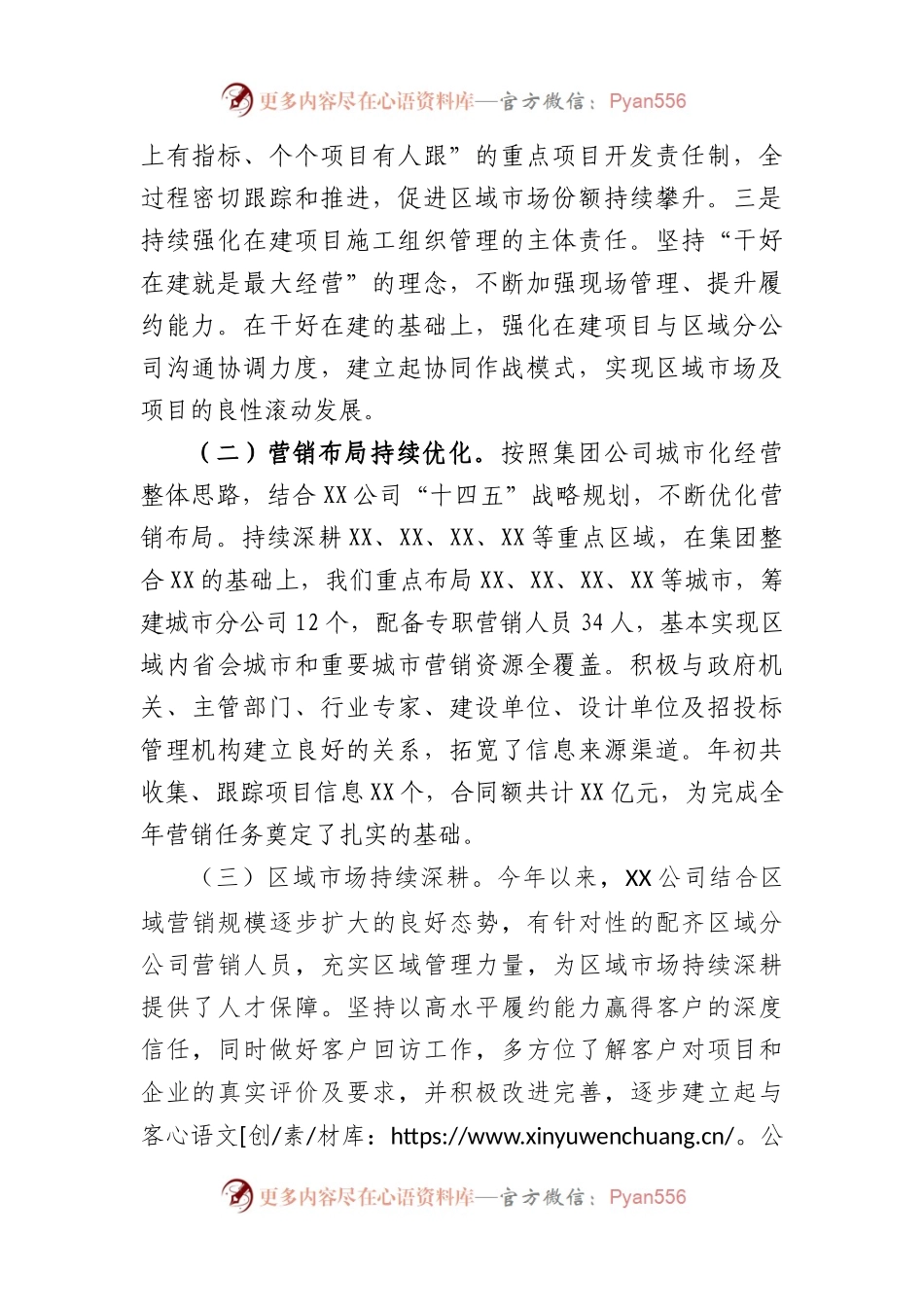国企总经理在集团市场营销系统专项工作会上的汇报.docx_第2页