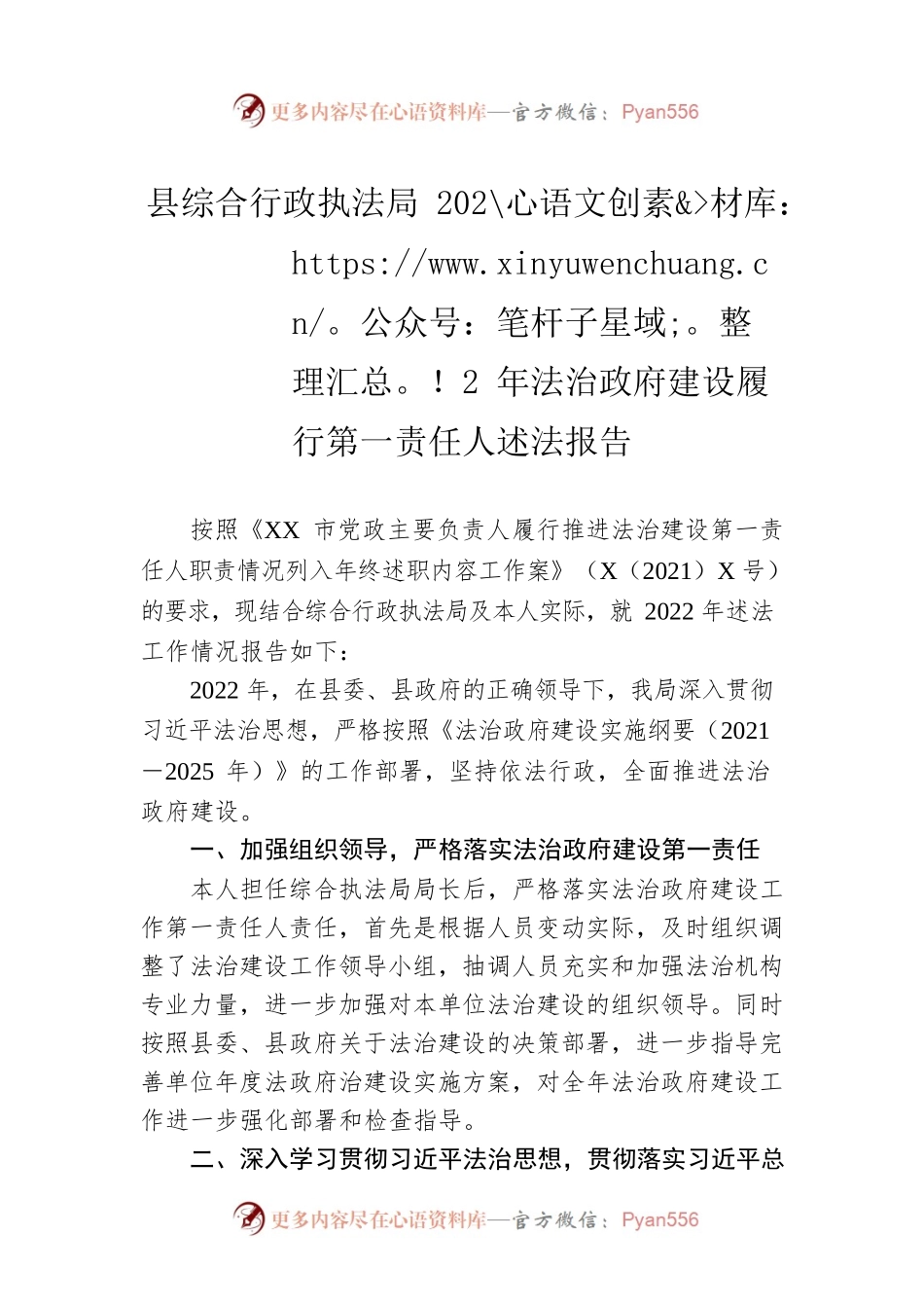 县综合行政执法局2022年法治政府建设履行第一责任人述法报告.docx_第1页