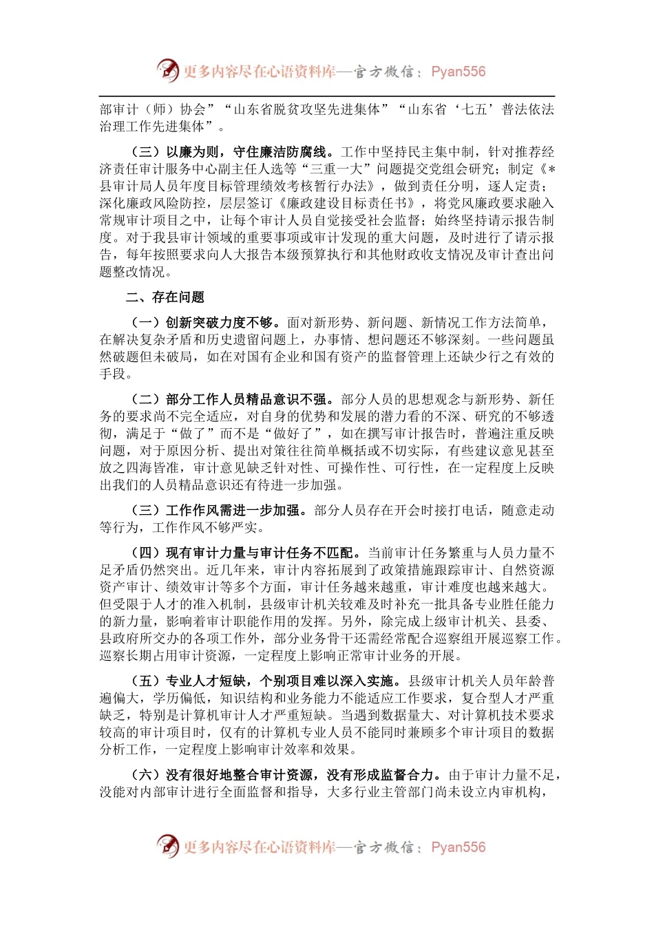 县审计局党组书记、局长在全市审计工作会议上的讲话.docx_第2页