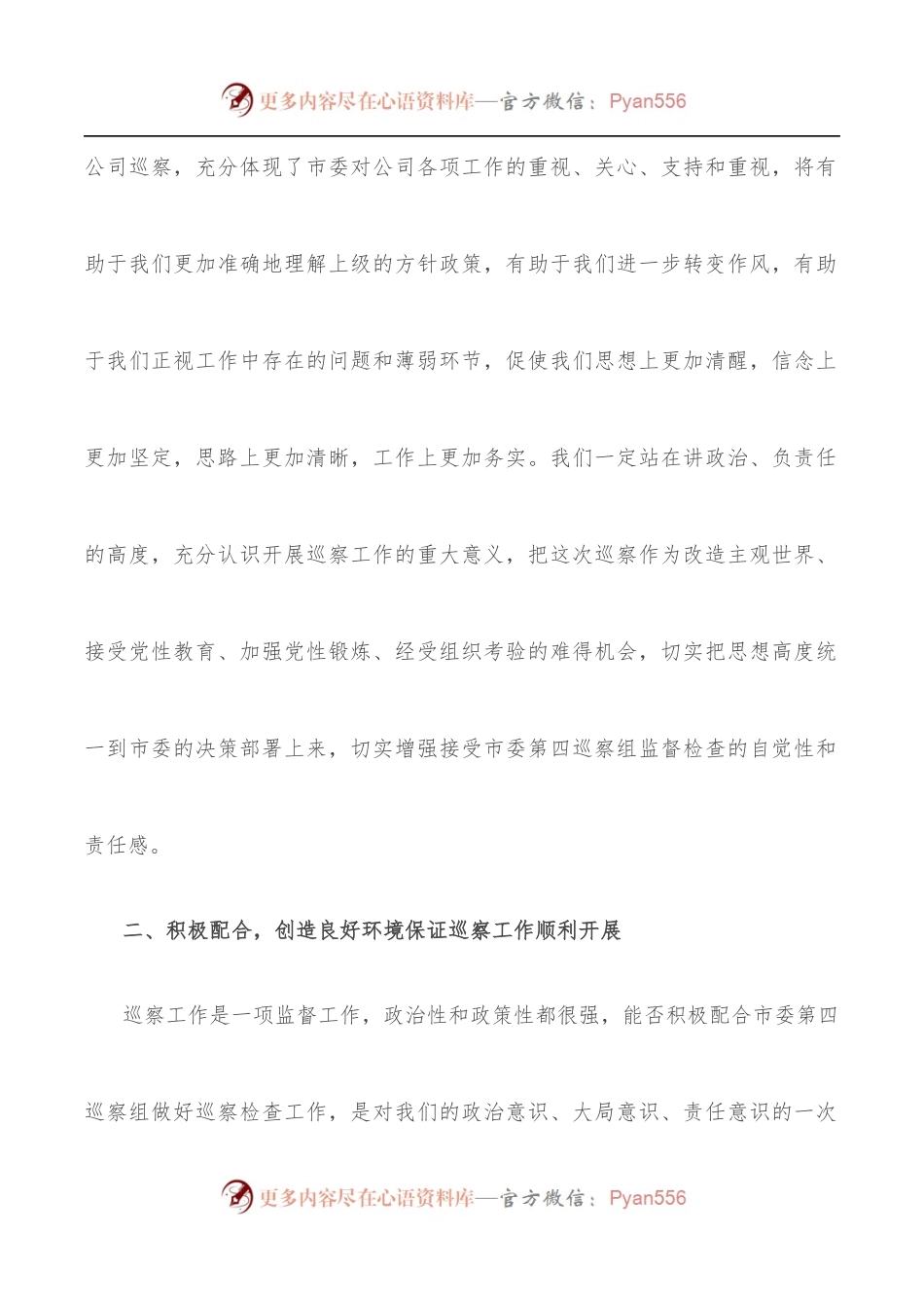 国企巡察动员发言材料.docx_第2页