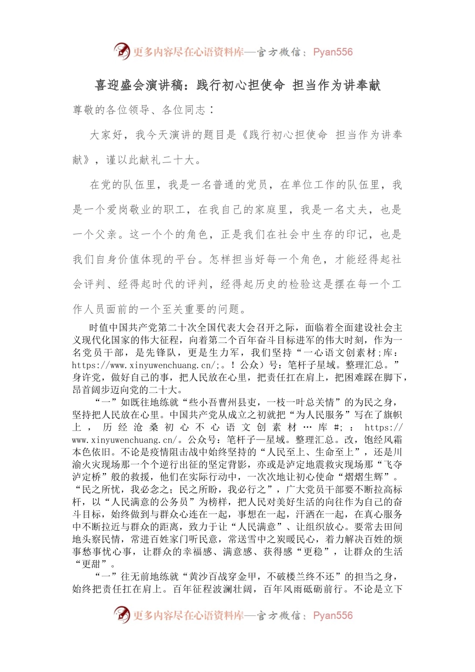喜迎盛会演讲稿：践行初心担使命 担当作为讲奉献.docx_第1页