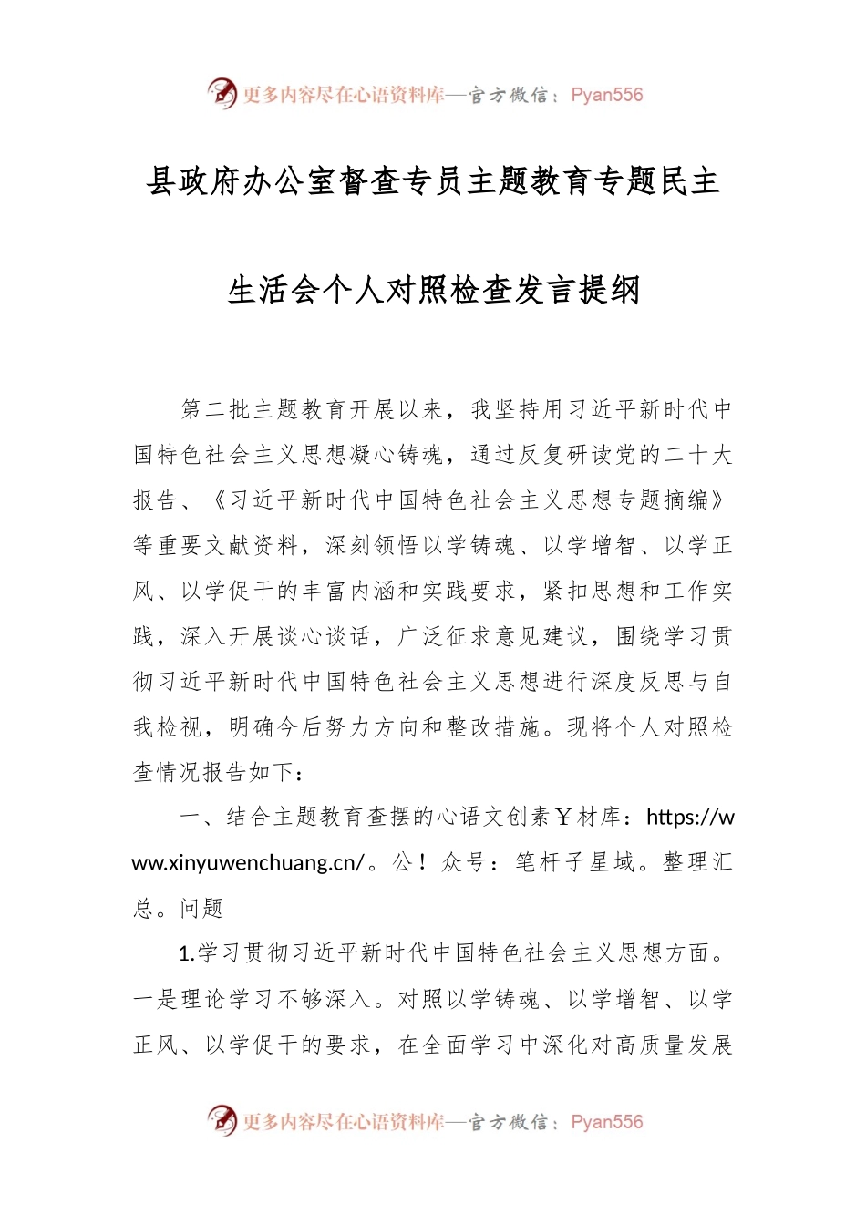 县政府办公室督查专员主题教育专题民主生活会个人对照检查发言稿提纲.docx_第1页