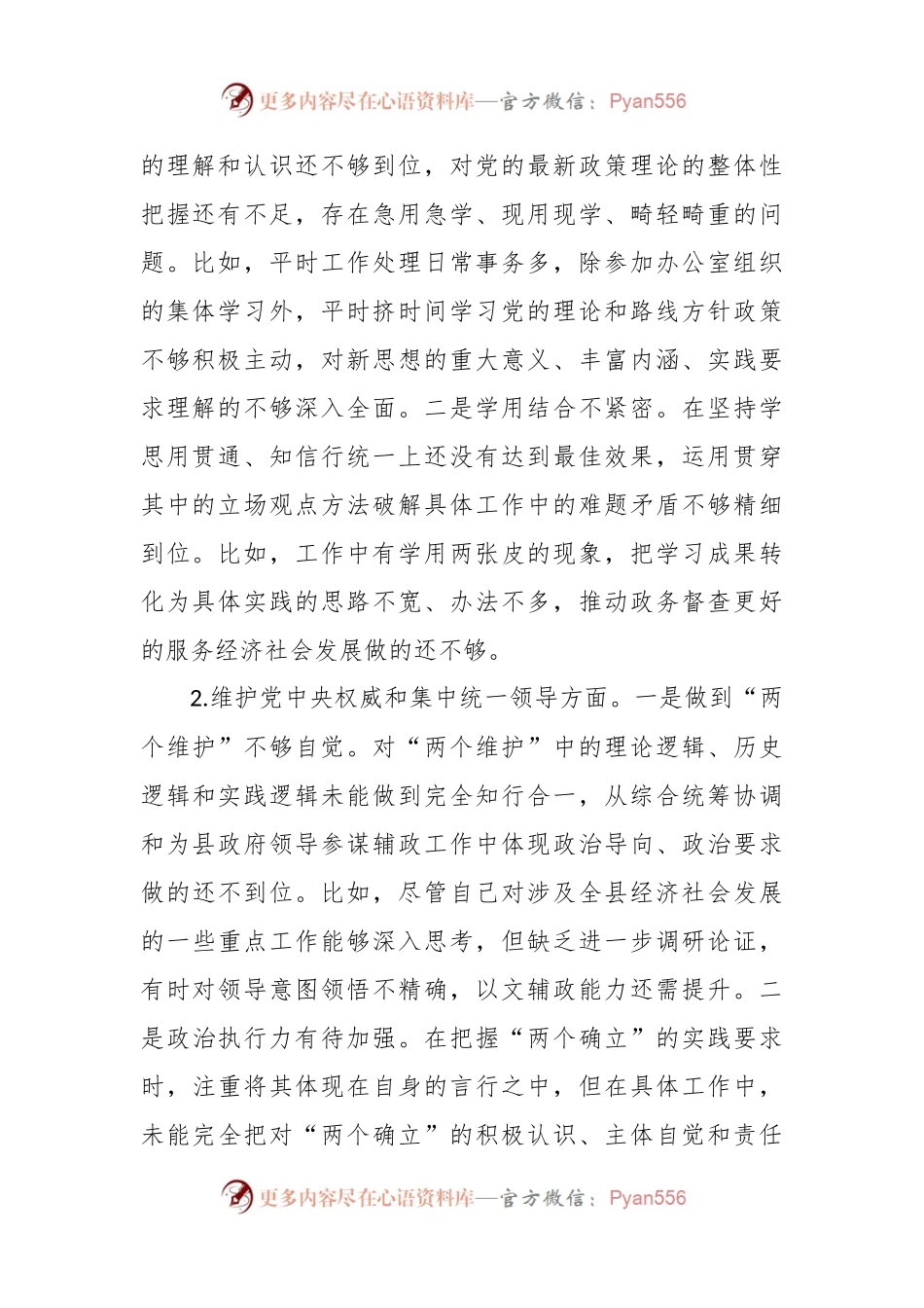 县政府办公室督查专员主题教育专题民主生活会个人对照检查发言稿提纲.docx_第2页