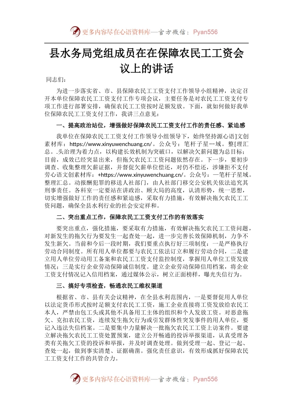 县水务局党组成员在在保障农民工工资会议上的讲话.docx_第1页