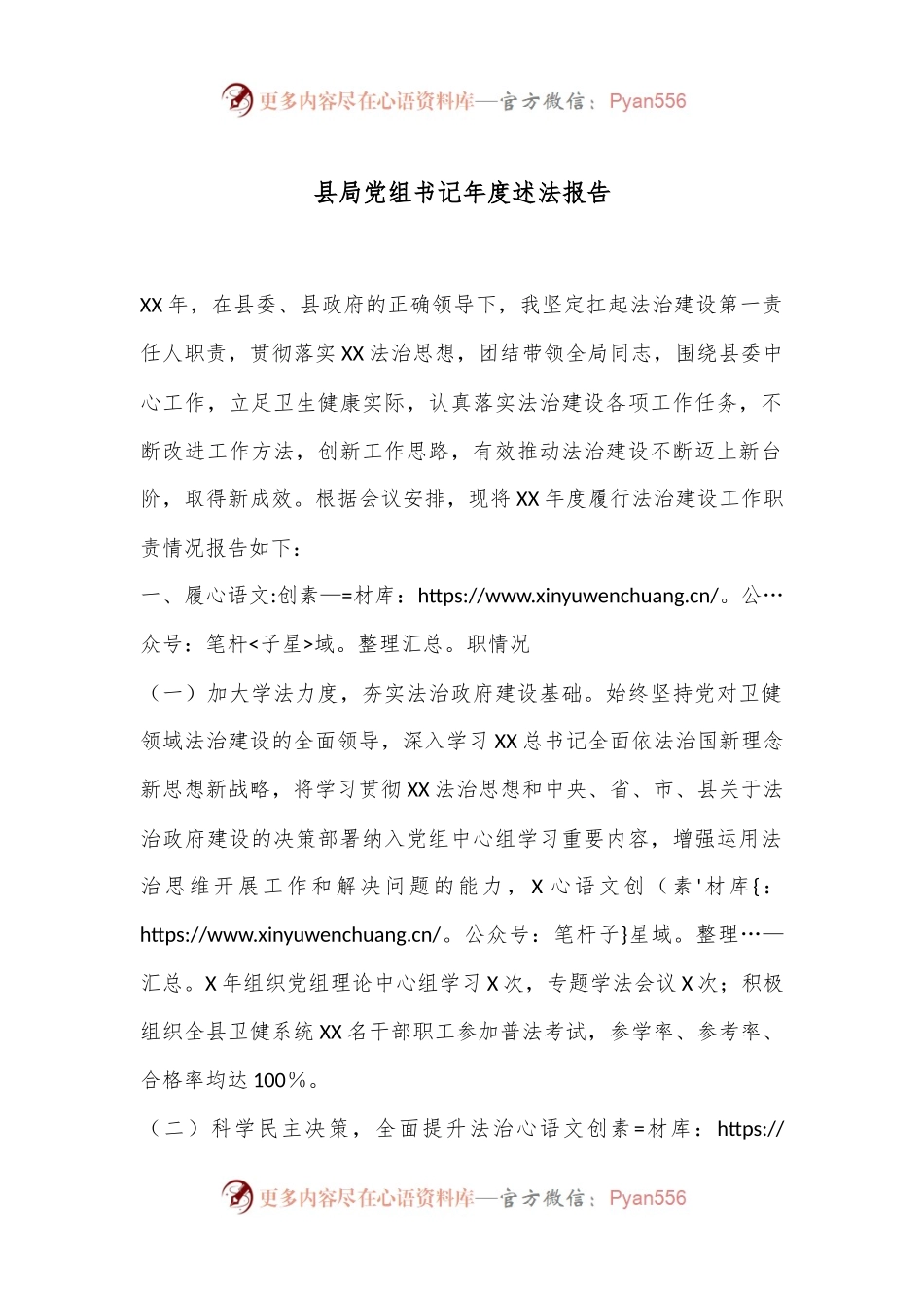 县局党组书记年度述法报告.docx_第1页