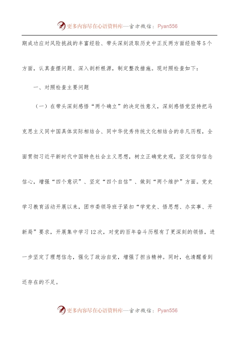 团市委领导班子2022年专题民主生活会对照检查材料.docx_第2页