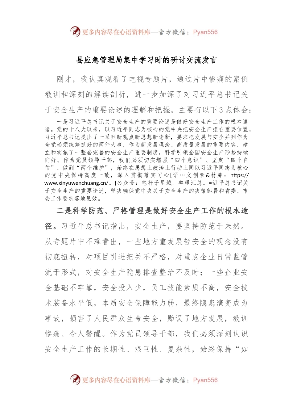 县应急管理局集中学习时的研讨交流发言.docx_第1页