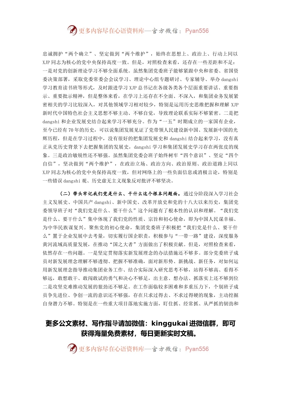 国企领导班子党史学习教育“五个带头”专题民主生活会对照检查.docx_第2页